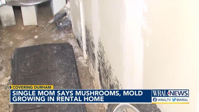 Single Durham mother begs for help after mold, mushrooms found in rental