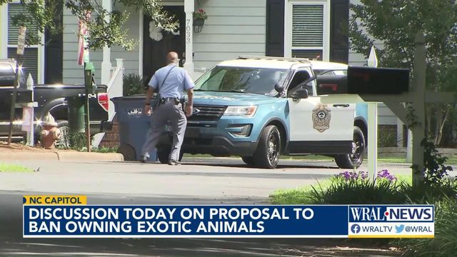 Raleigh leaders considering more restrictive exotic animal laws