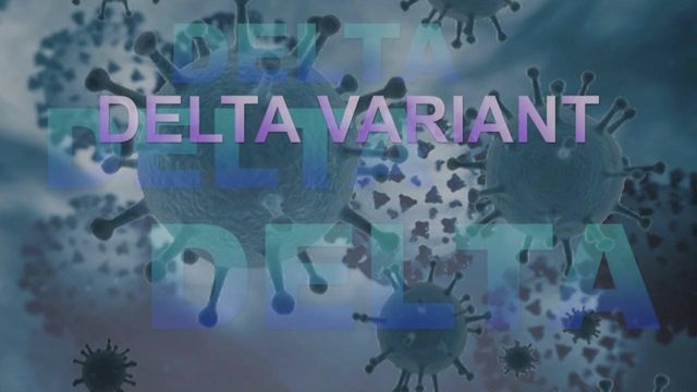 Rapid spread of Delta variant emphasizes need to vaccinate more in US, NC, Duke doc says