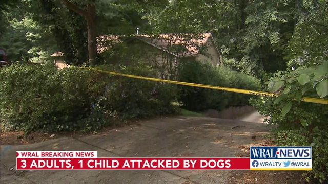 Four people attacked by loose dogs in north Raleigh 