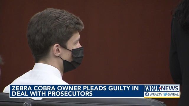 Zebra cobra owner pleads guilty