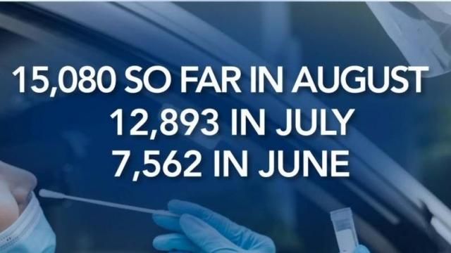 Wake County COVID testing numbers