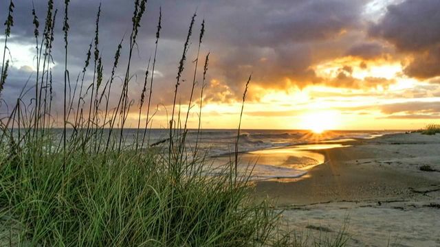 Tar Heel Traveler: Nature photographer captures the beauty of the beach
