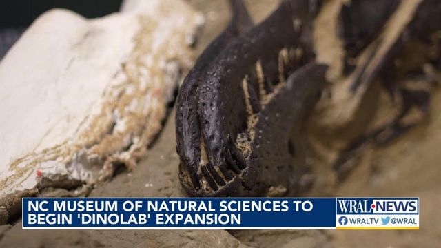 NC Museum of Natural Sciences begins construction on DinoLab 