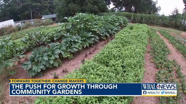 Urban gardeners push for growth through community gardens 