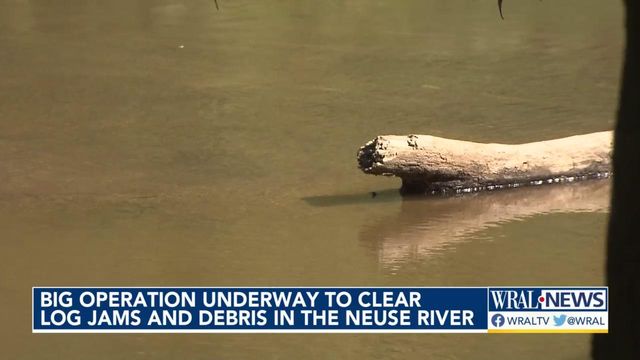 Crew working to clear log jams, debris in the Neuse River