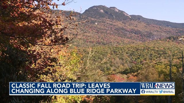 Fall colors shine along Blue Ridge Parkway as region's natural beauty comes through