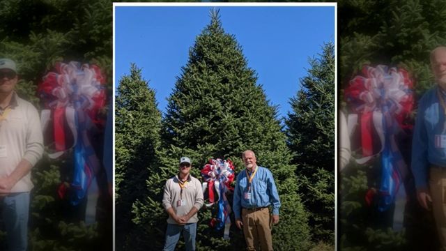 21-foot tree from NC to deck the halls of the White House for Christmas
