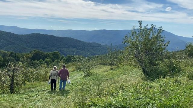 The Orchard at Altapass a 'slice of heaven' in the Blue Ridge Mountains