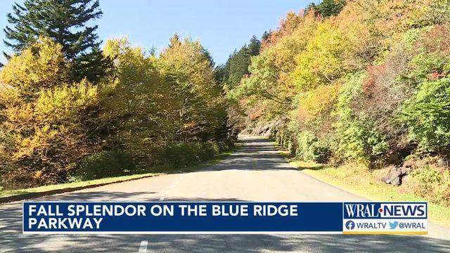 Bryan Mims takes one last look at the Blue Ridge Parkway