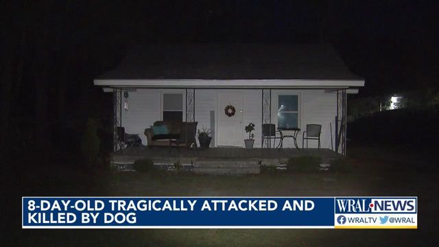 Dog attacks, kills 8-day-old in Johnston County