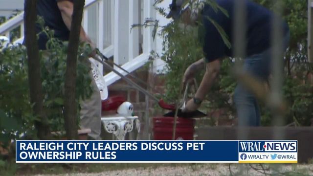 Raleigh considering banning dangerous pet ownership