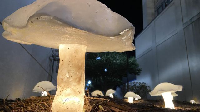 Art installations lighting up parts of downtown Raleigh 