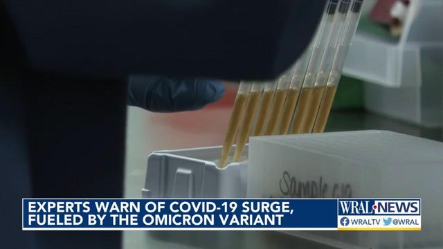 Experts warn of COVID-19 surge fueled by omicron variant 