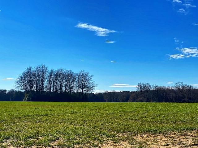 Nuclear Mishap: The night two atomic bombs dropped on North Carolina