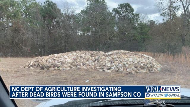 Dead birds found in Sampson County