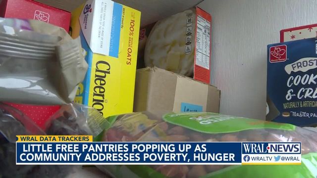 Teen launches free little pantry campaign