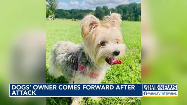 Dogs' owner comes forward after attack on greenway in Knightdale 