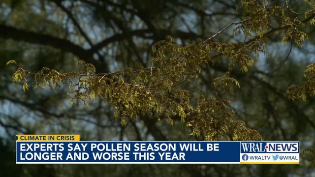 Experts say pollen season will be longer, worse this year