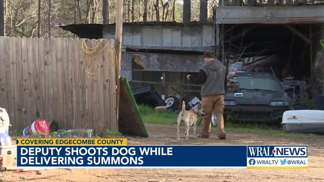 Edgecombe deputy shoots dog while delivering summons