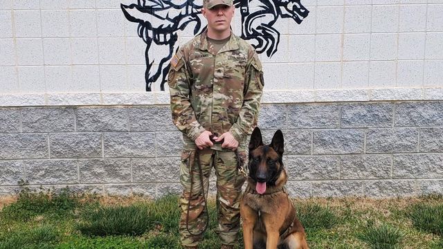 Military dogs more valuable than machinary, handler says 
