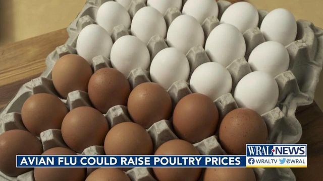 Businesses prepare for poultry prices to rise again 