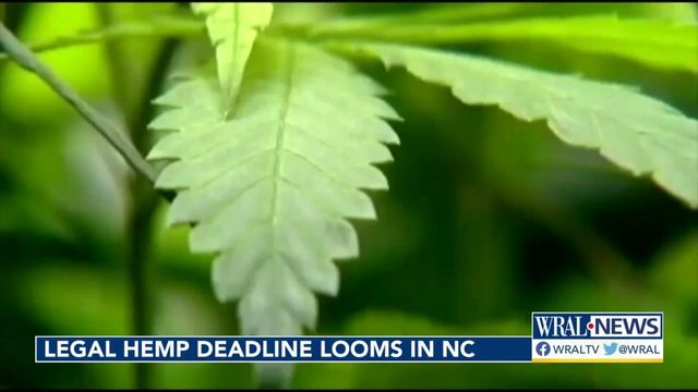 Legal hemp deadline looms for North Carolina