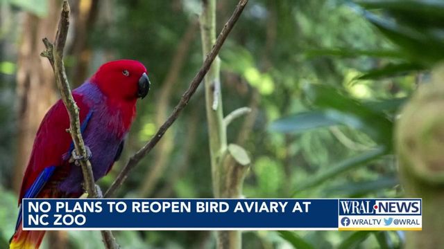 No plans to reopen bird aviary at NC Zoo