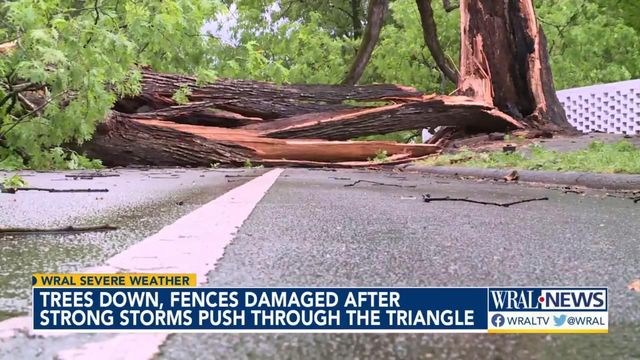 Trees down, fences damaged after strong storms push through Triangle
