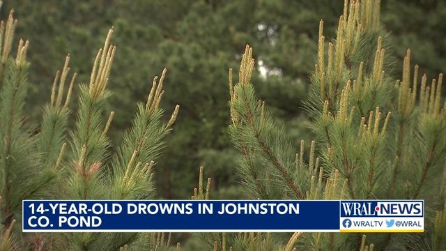 14-year-old boy drowns in Johnston County pond, sheriff's office says