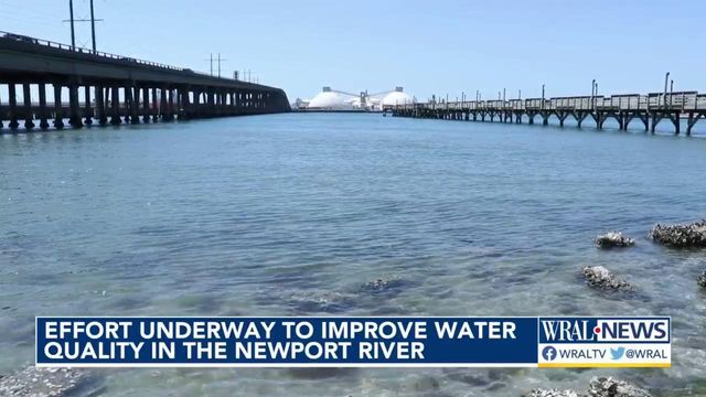 Environmentalists want to restore Newport River as one of Carteret County's most scenic bodies of water