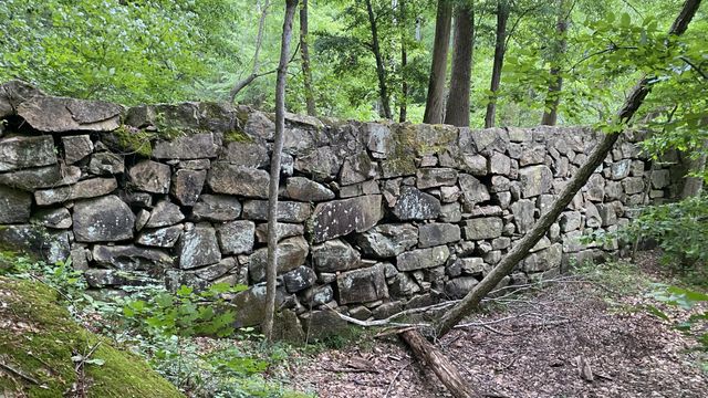 Firsthand tour of a 200-year-old stone wall at Umstead Park