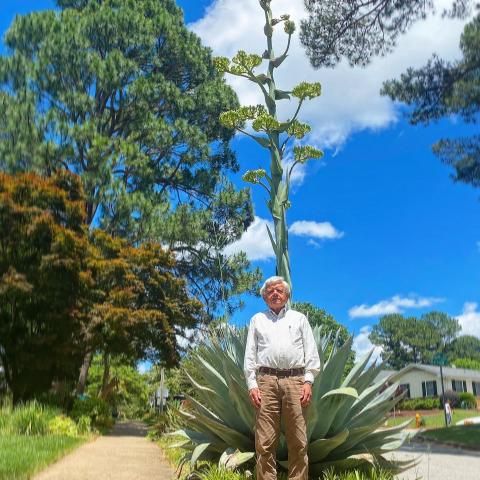 Rare century-plant blooms 20-feet-high in Raleigh neighborhood