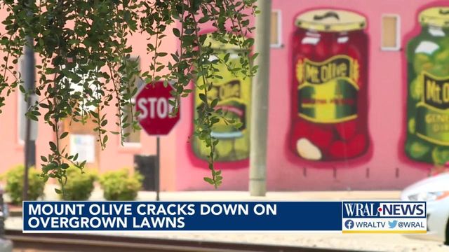 NC town cracks down on lawn maintenance 