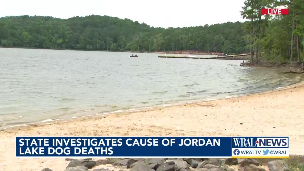 Body found in Jordan Lake near Farrington Point boat ramp