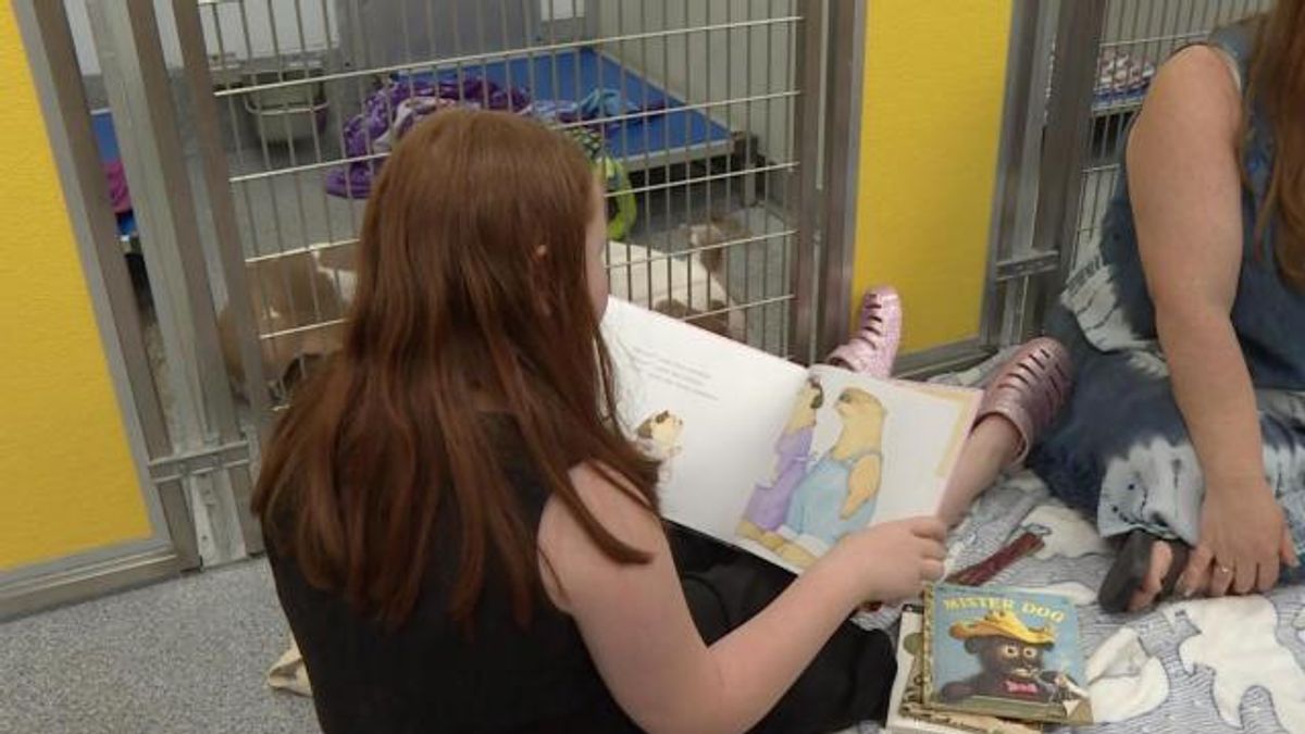 Reading to shelter dogs