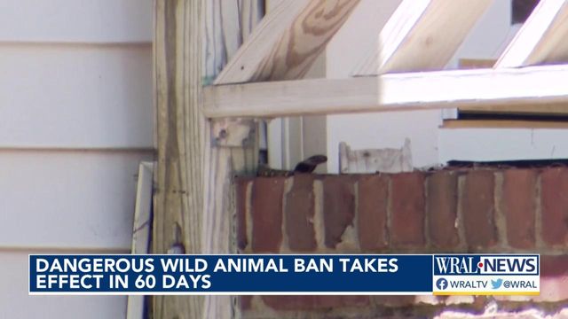 Dangerous wild animal ban takes effect on Sept. 3