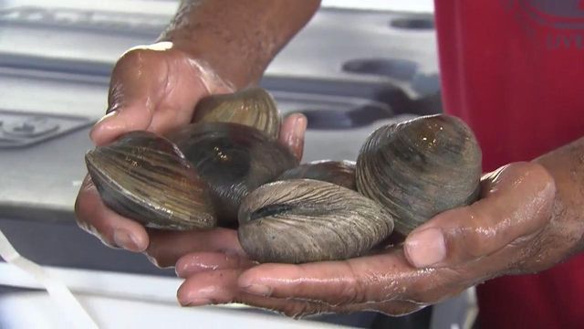 Seafood fresh off the boat sold at roadside stand in Ocean Isle 