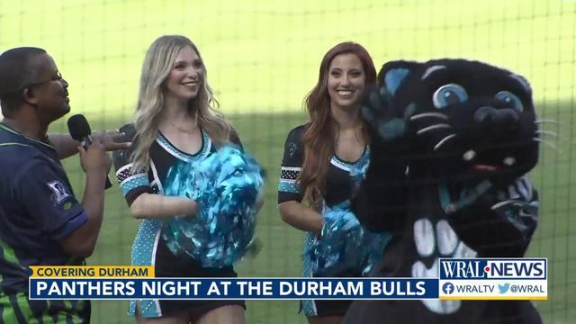 Sir Purr visits Durham Bulls Park to help fans celebrate Panthers Night 