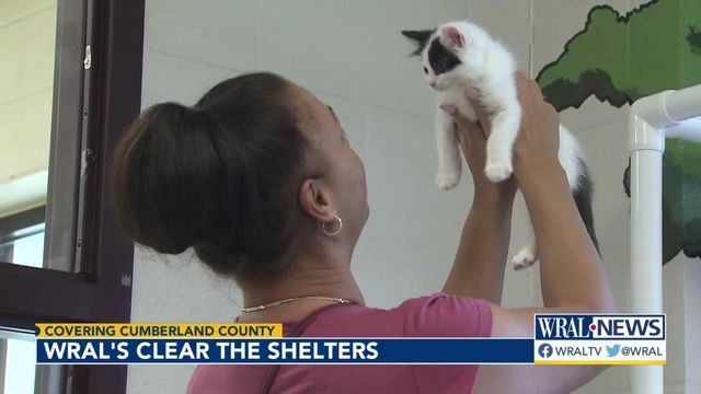 Changes at Cumberland County shelter mean fewer animals euthanized