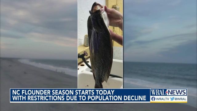 One fish per day: Overfishing prompts limits on NC flounder
