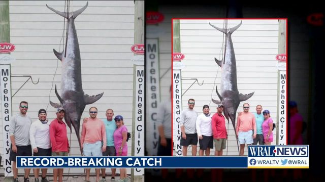 NC man catches record-breaking 500-pound sword fish 