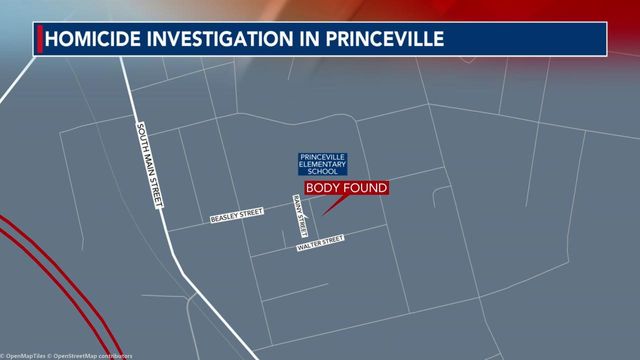 Person found dead in Princeville