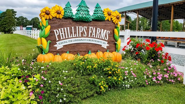 Fall fun returns this weekend at Phillips Farms of Cary 