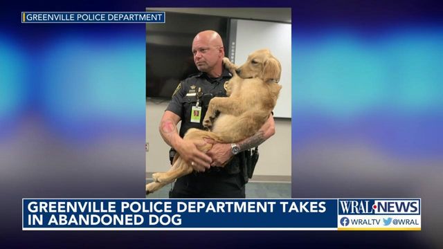 'Chase' joins Greenville police as future therapy dog