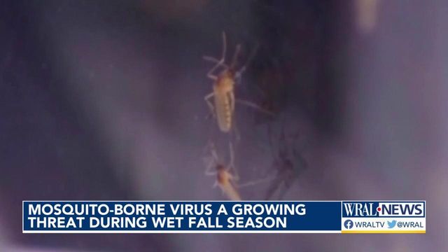 West Nile Virus a growing threat at peak of hurricane season