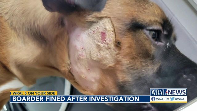 Family calls out Cary boarding facility after dog returns with bite marks, scratches