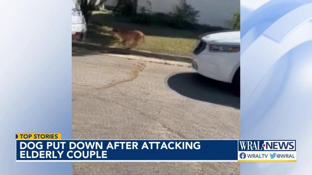 Pit bull put down after attacking elderly couple in Rocky Mount