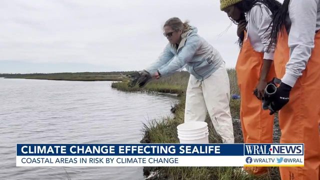 Your next seafood dinner could be impacted by climate change
