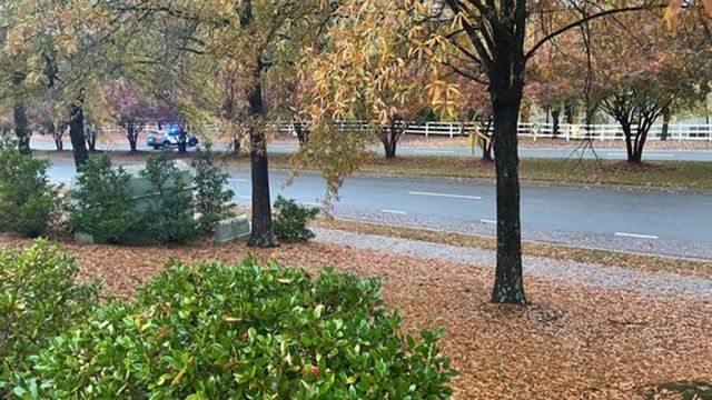 3 people shot in Raleigh, no one in custody